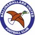Ballinamallard United Ballinamallard United badge