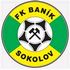 Banik Sokolov badge