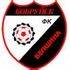 Belshina Bobruisk Belshina Bobruisk badge