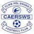 Caersws FC badge