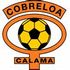 Cobreloa badge