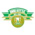 Cork City Cork City badge