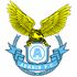 Dalian Aerbin badge