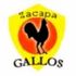 Deportivo Zacapa badge