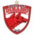 Dinamo Bucuresti Dinamo Bucuresti badge