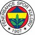 Fenerbahce badge