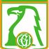Geylang United badge