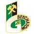 GKS Belchatow badge