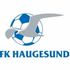 Haugesund Haugesund badge