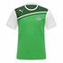Hibernian Hibernian badge