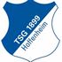 Hoffenheim Hoffenheim badge