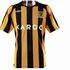 Hull City Hull City badge