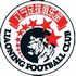 Liaoning Whowin badge