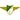 Moreirense badge