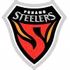 Pohang Steelers badge