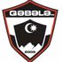 Qabala FC Qabala FC badge