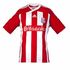 Stoke City Stoke City badge