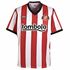 Sunderland Sunderland badge