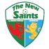 The New Saints The New Saints badge
