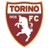 Torino Torino badge