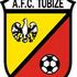 Tubize badge