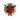 Vittoriosa Stars badge