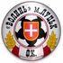 Volyn Lutsk Volyn Lutsk badge