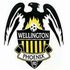 Wellington Phoenix badge