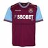 West Ham West Ham badge