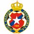 Wisla Krakow Wisla Krakow badge