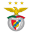 Benfica badge