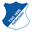 Hoffenheim badge