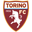 Torino badge