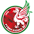 FC Rubin Kazan badge