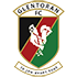 Glentoran FC badge