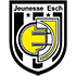 Jeunesse D Esch badge