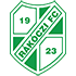 Kaposvar FC badge