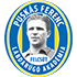 Puskas Akademia FC badge