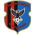 Slavia-Mozyr badge