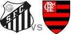 Santos-SP Flamengo-RJ highlights